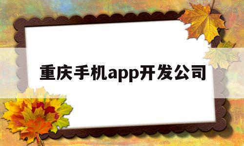 重庆手机app开发公司(重庆手机app开发公司有哪些)