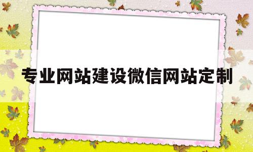 专业网站建设微信网站定制的简单介绍