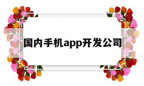 国内手机app开发公司(开发手机app的上市公司)