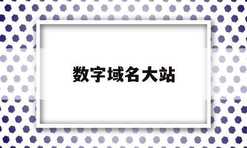 数字域名大站(数字域名网站有哪些)