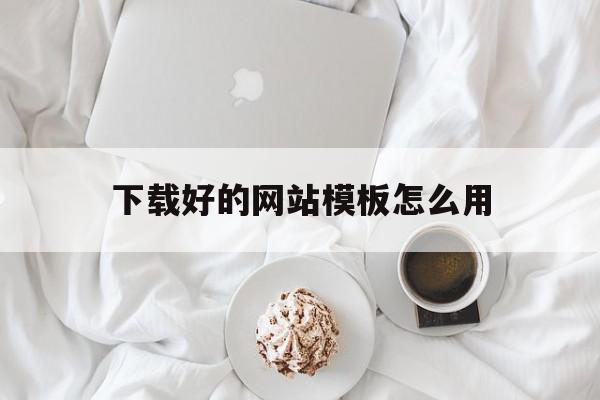 下载好的网站模板怎么用(下载好的网站模板怎么用手机打开)