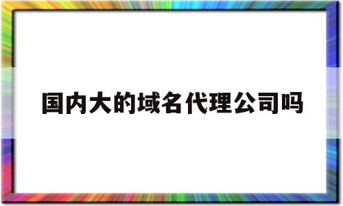 包含国内大的域名代理公司吗的词条