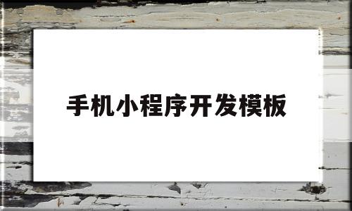 手机小程序开发模板(手机小程序开发模板怎么做)