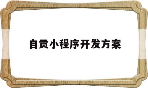 自贡小程序开发方案(小程序开发制作怎样做)