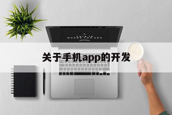 关于手机app的开发(关于手机app的开发策略)