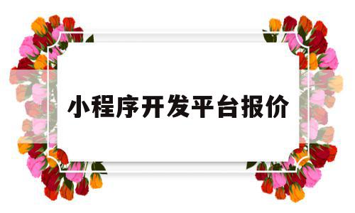 小程序开发平台报价(小程序开发平台报价单怎么写)