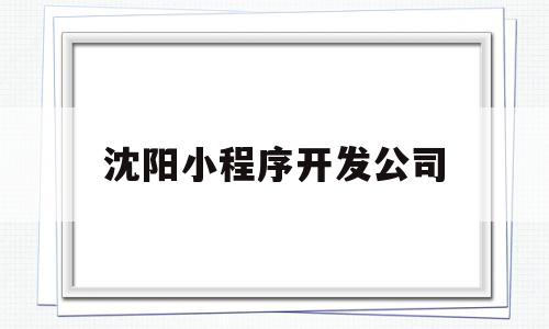 沈阳小程序开发公司(沈阳制作小程序公司)