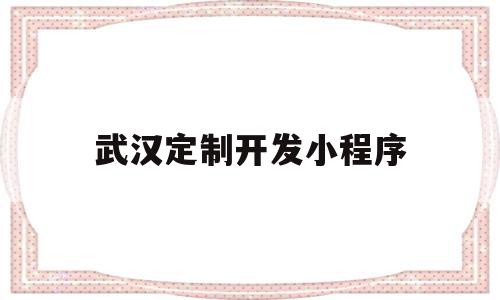 武汉定制开发小程序(武汉小程序开发有限公司)