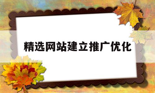 精选网站建立推广优化(精选网站建立推广优化方案)