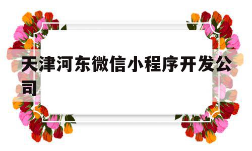 天津河东微信小程序开发公司(天津河东微信小程序开发公司怎么样)