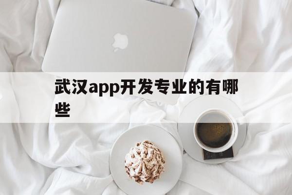 武汉app开发专业的有哪些(武汉app开发专业的有哪些公司)