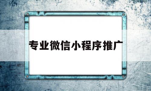 专业微信小程序推广(专业微信小程序推广公司)