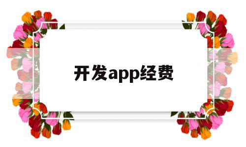 开发app经费(app开发的费用)