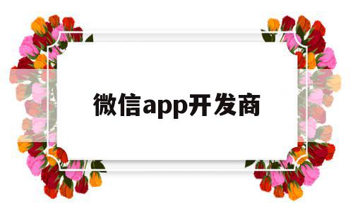 微信app开发商(微信的开发商是什么公司?)