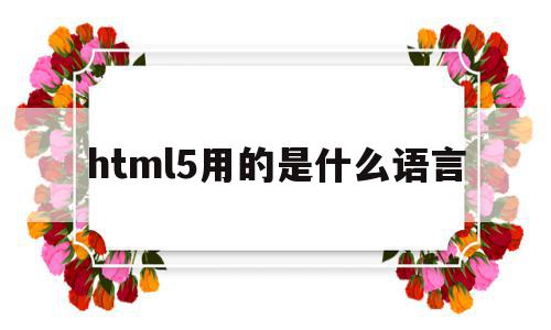 html5用的是什么语言的简单介绍