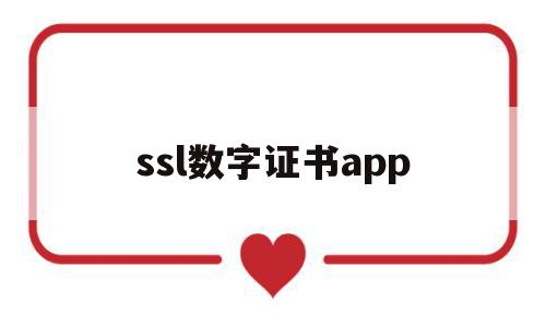 ssl数字证书app(ssl数字证书的应用流程)