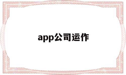 app公司运作(app运营的工资一般是多少)