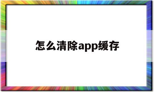 怎么清除app缓存(怎么清除手机app缓存数据)