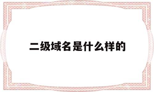 二级域名是什么样的(二级域名是什么样的格式)