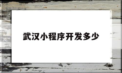 武汉小程序开发多少(武汉小程序开发多少钱一年)