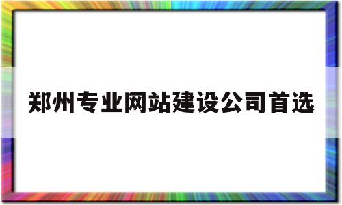 郑州专业网站建设公司首选(郑州企业网站建设公司)