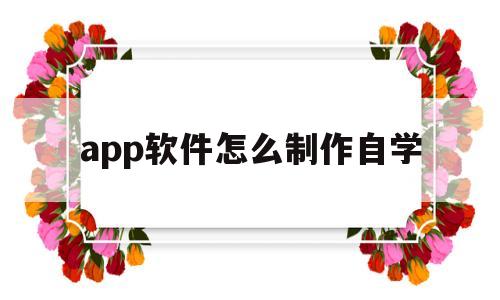 app软件怎么制作自学(怎么制作app软件教程)