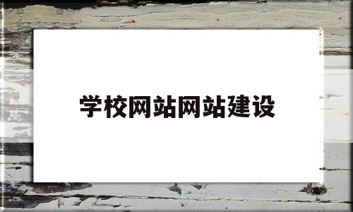 学校网站网站建设(学校网站的建设流程该怎么确定?)