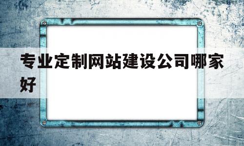 专业定制网站建设公司哪家好(专业定制网站制作)