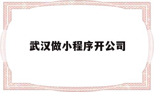 武汉做小程序开公司(武汉做微信小程序设计的)