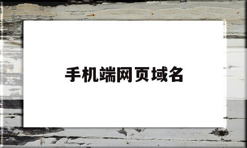 手机端网页域名(手机上网域名)