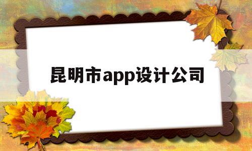 昆明市app设计公司(昆明app制作公司)