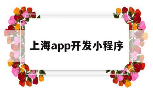 上海app开发小程序(上海制作小程序app公司)