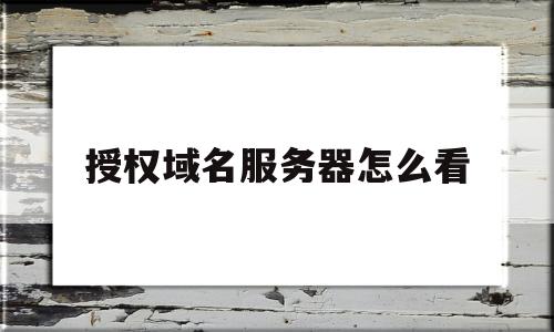 授权域名服务器怎么看(授权域名服务器怎么看ip)