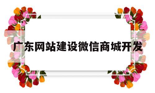 广东网站建设微信商城开发(广东网站开发项目)