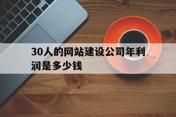 30人的网站建设公司年利润是多少钱(做一个网站每年多少钱)