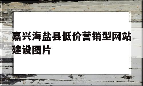 嘉兴海盐县低价营销型网站建设图片(海盐销售)