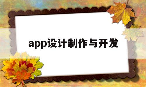 app设计制作与开发(app开发设计方案)