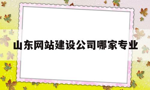 山东网站建设公司哪家专业(山东省网站建设)