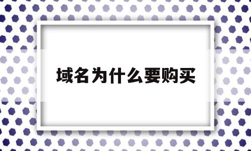 域名为什么要购买(为什么要域名注册),域名为什么要购买(为什么要域名注册),域名为什么要购买,百度,域名注册,投资,第1张